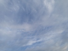 ナリス化粧品　新潟　大地に抱かれる　空を見上げ