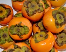 秋の味覚【柿の美容効果】　ブログ写真1